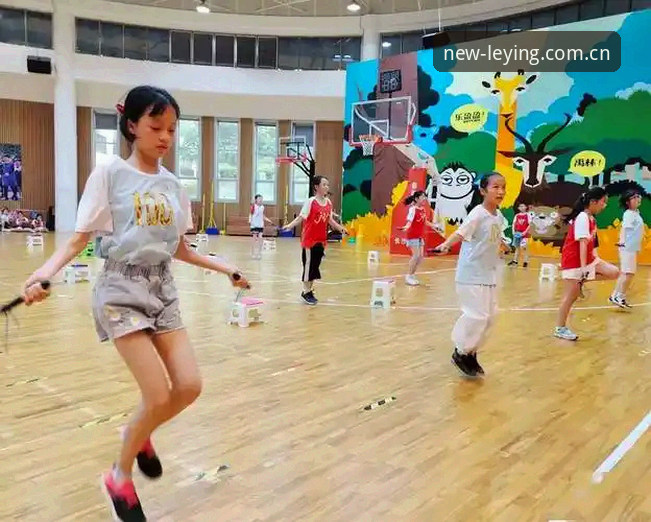 乐盈体育平台2026新版本体验全方位详解