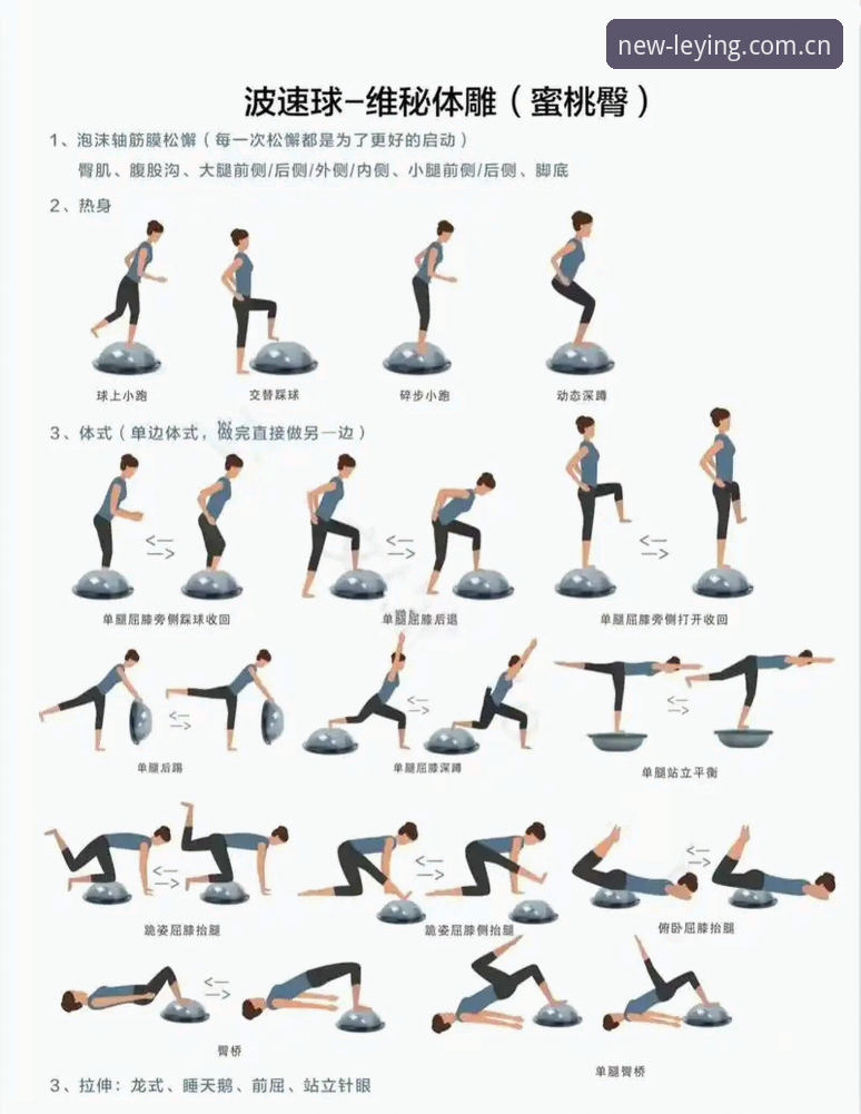 选择乐盈体育平台的实用指南：从入门到进阶的必备知识